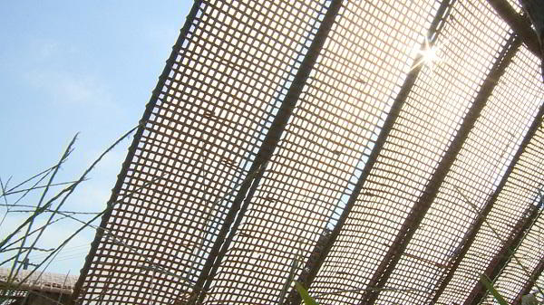 bánh đa nem làng Chều