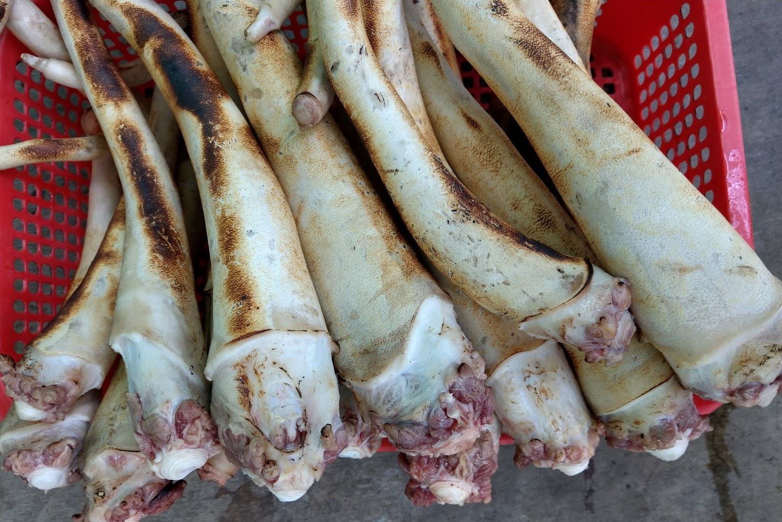 địa chỉ bán đuôi bò ngon sạch 