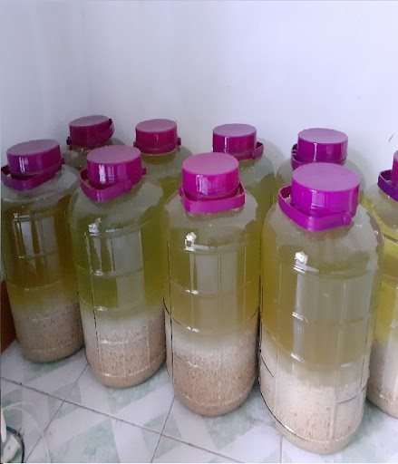 Giới thiệu về rượu bách nhật
