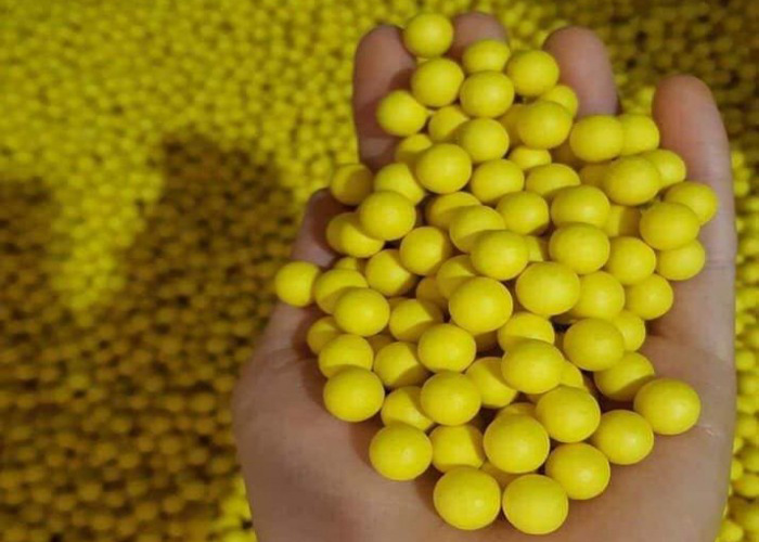Giới thiệu sản phẩm nghệ viên mật ong