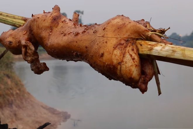 Lợi ích khi ăn thịt thỏ