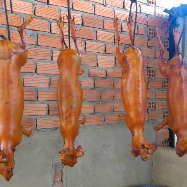 Địa chỉ mua thỏ thịt nguyên con thui sẵn giá tốt