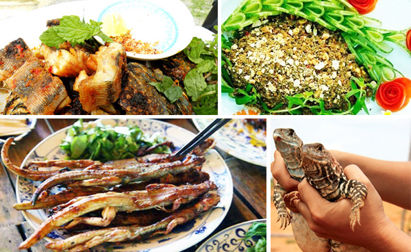 Lợi ích tuyệt vời của thịt kỳ nhông đối với sức khỏe