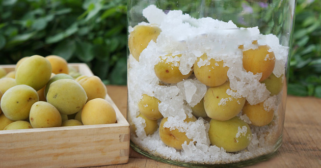 Các bước ngâm rượu mơ tại nhà thơm ngon 