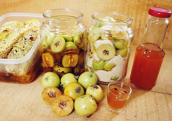 Rượu táo mèo ngâm nước 1 - 150k/lit