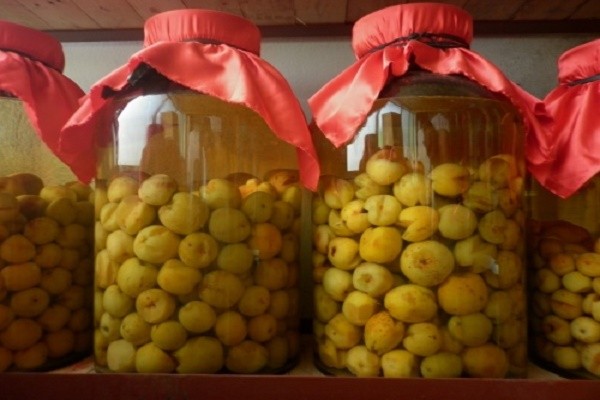 Tác dụng của rượu táo mèo tốt cho tiêu hóa