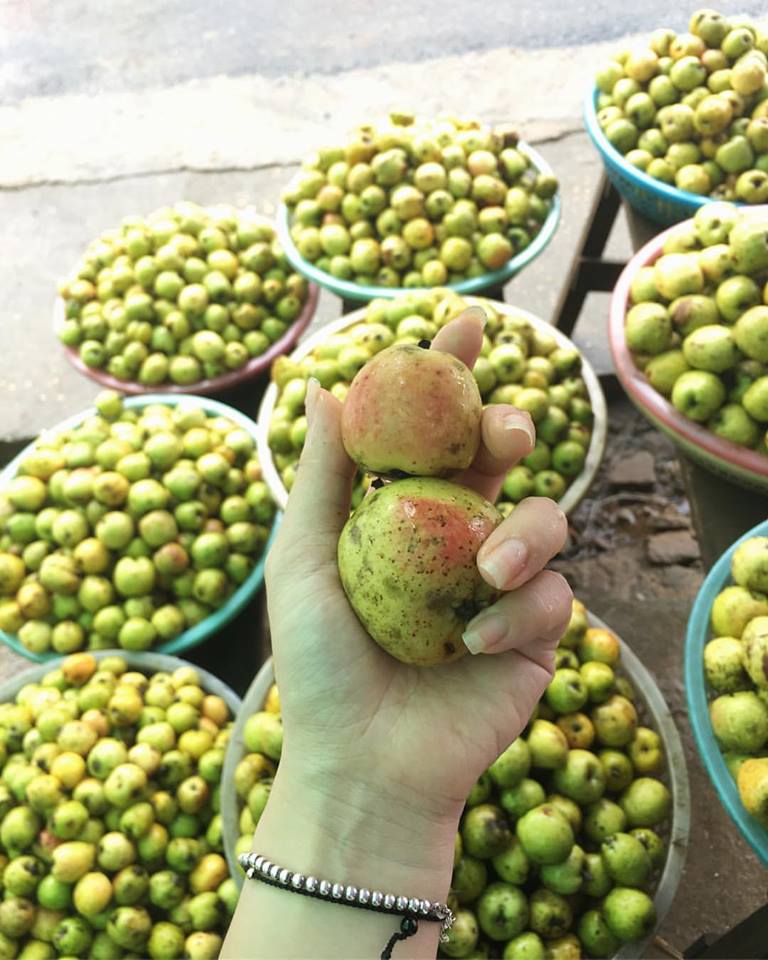 Các loại táo mèo