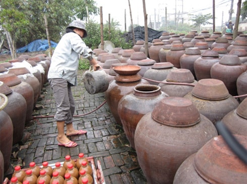 Giới thiệu tương bần