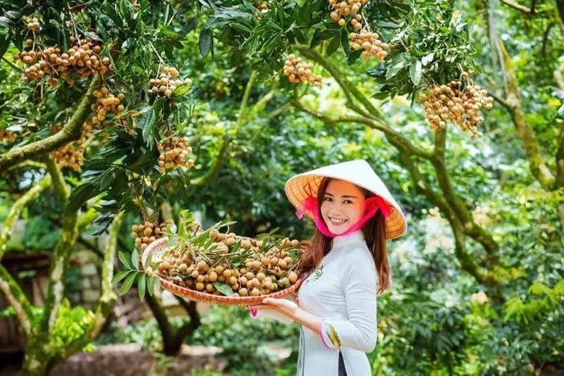 đặc sản nhãn lồng hưng yên