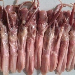 Lưỡi vịt tươi sạch