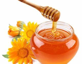 Đặc điểm của Mật Ong Rừng xịn 