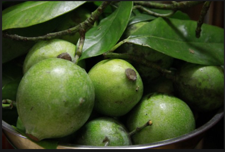 Các bài thuốc dân gian từ cây dọc
