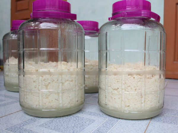 Rượu nếp cái hoa vàng 3